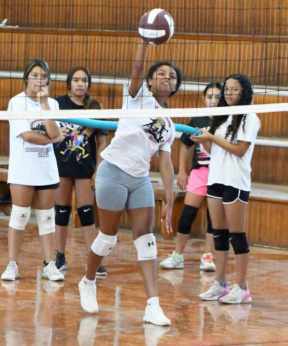 2024 Lady Cat Youth Volleyball Camp