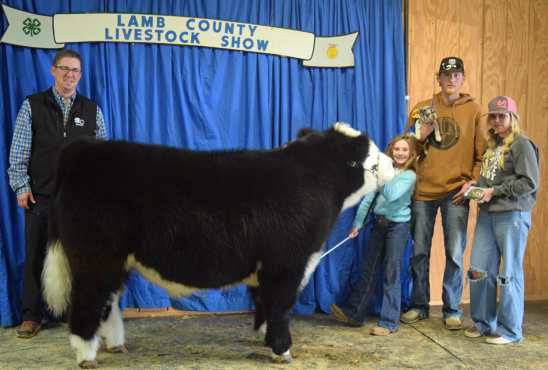 Paisli Claunch of Sudan won GRAND CHAMPION STEER at the Lamb County Junior Livestock Show last week.