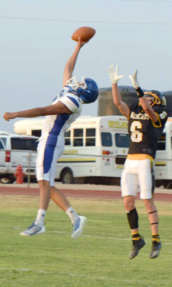 Amherst makes a one-handed grab against Grady on Friday night, as the Bulldogs start the season 1-0. (Submitted Photo)