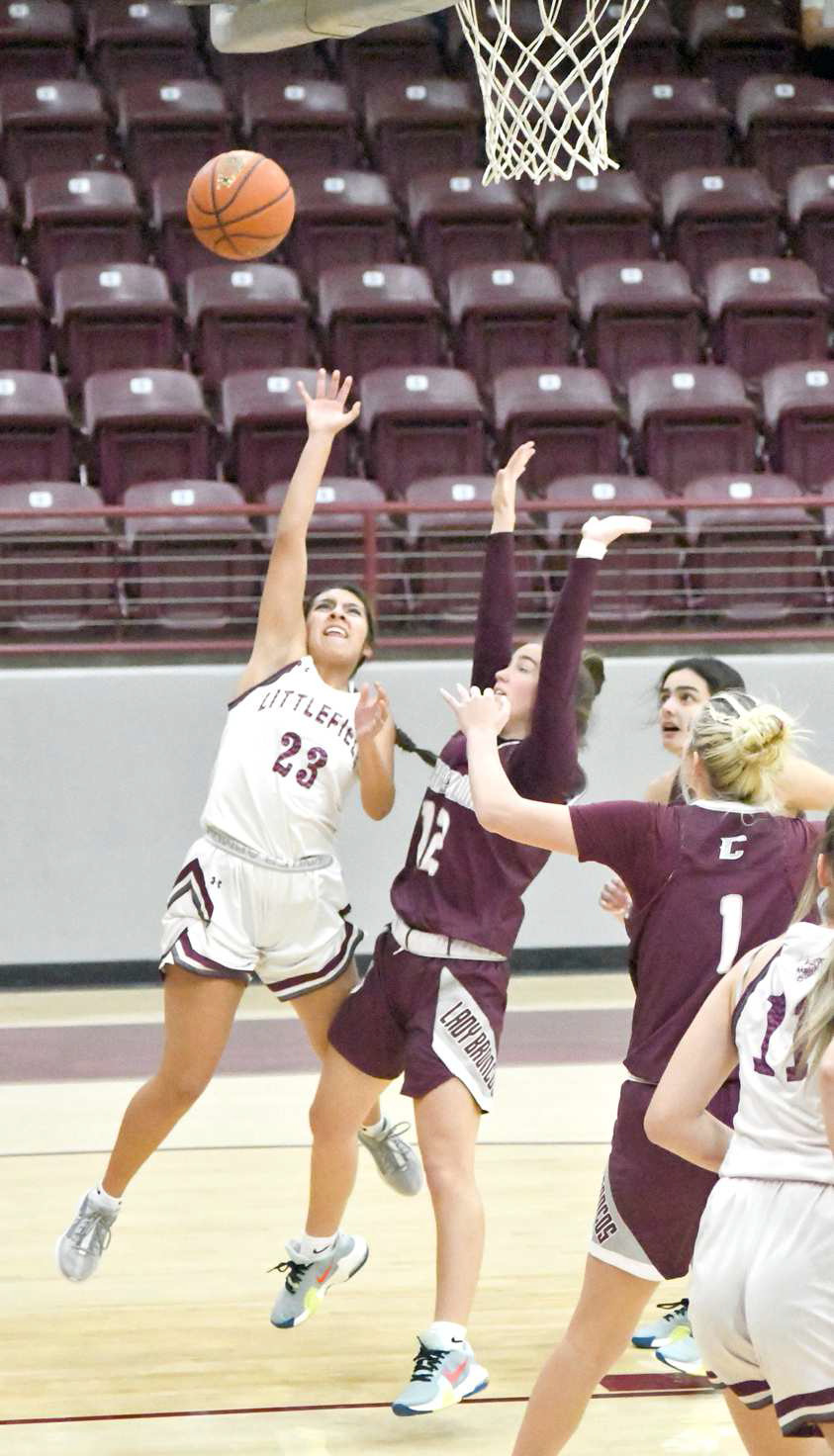 Lady Cats finish as runnerups at Wildcat Classic