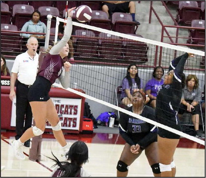 Lady Cats fall to Talkington in season-opener