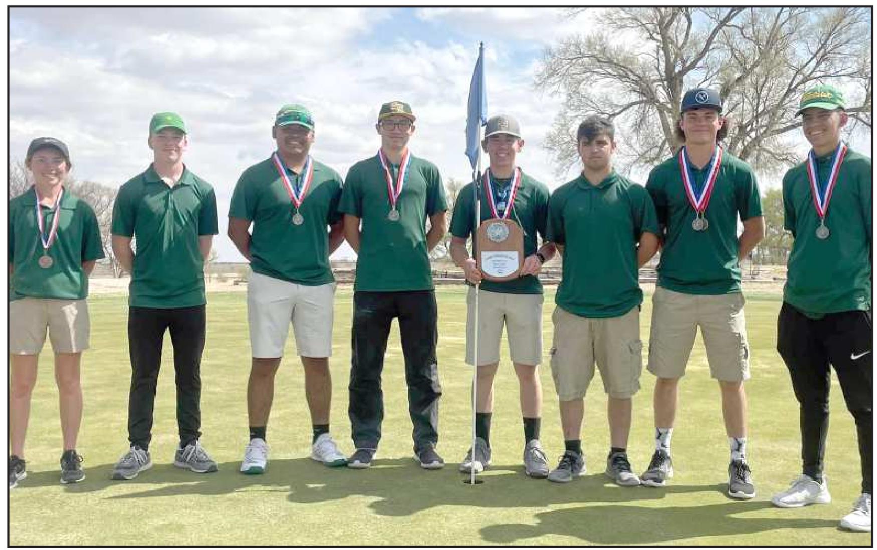 Wolverine golf team places 2nd at District Meet
