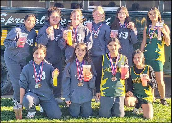 Lady Cats come up short on the road against Lamesa