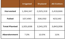 Initial 2024 Acreage and Crop Estimates Released August 12