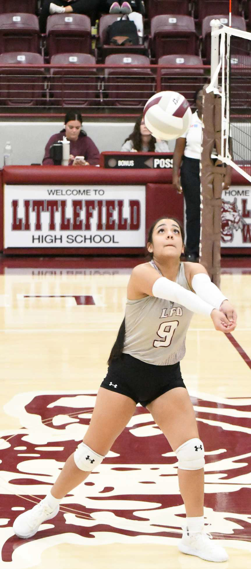 KAMILA SILVEIRA - Littlefield Lady Cats