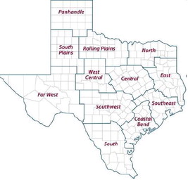 Texas fruit growers adapt to chill challenges and freeze damage