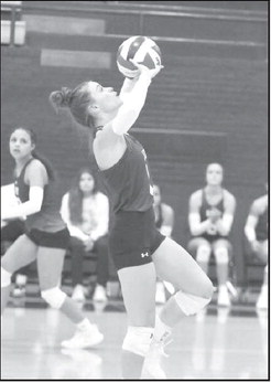 BRYNDLE RAY - Littlefield Lady Cats