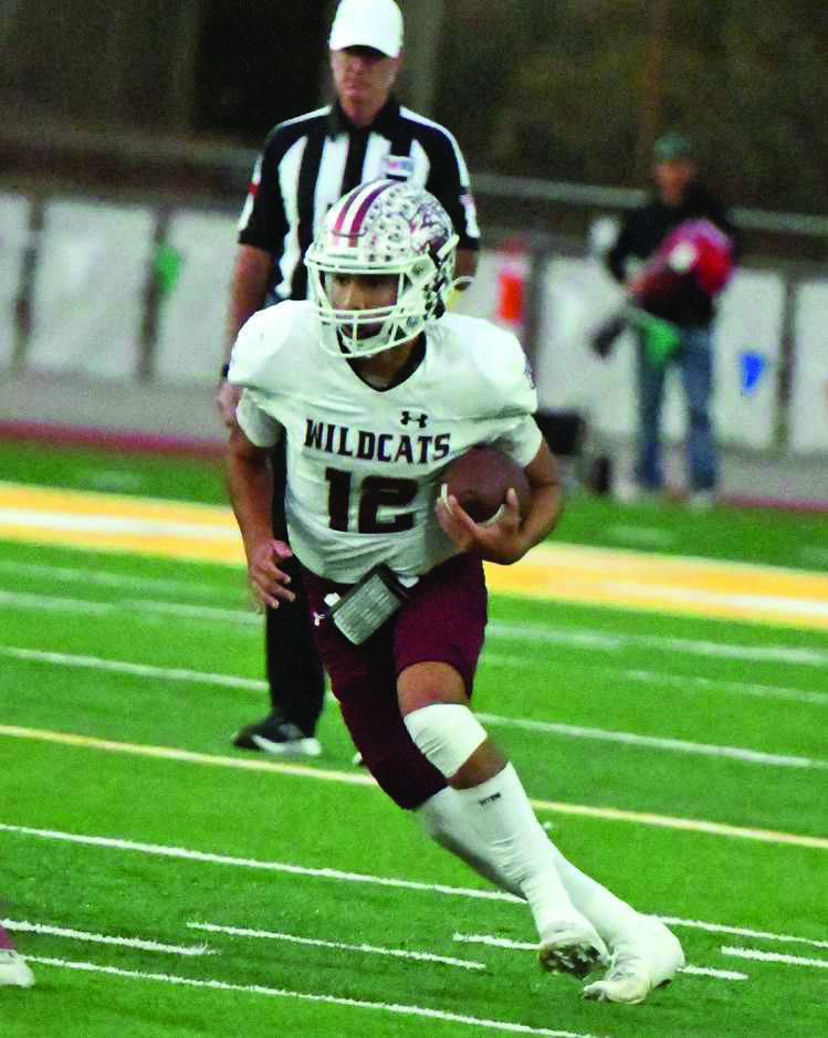 SAMMY SAENZ - Littlefield Wildcats
