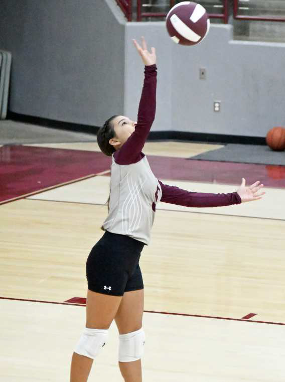 CALI SALDANA - Littlefield Lady Cats