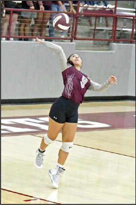 ALYSSA TORRES - Littlefield Lady Cats