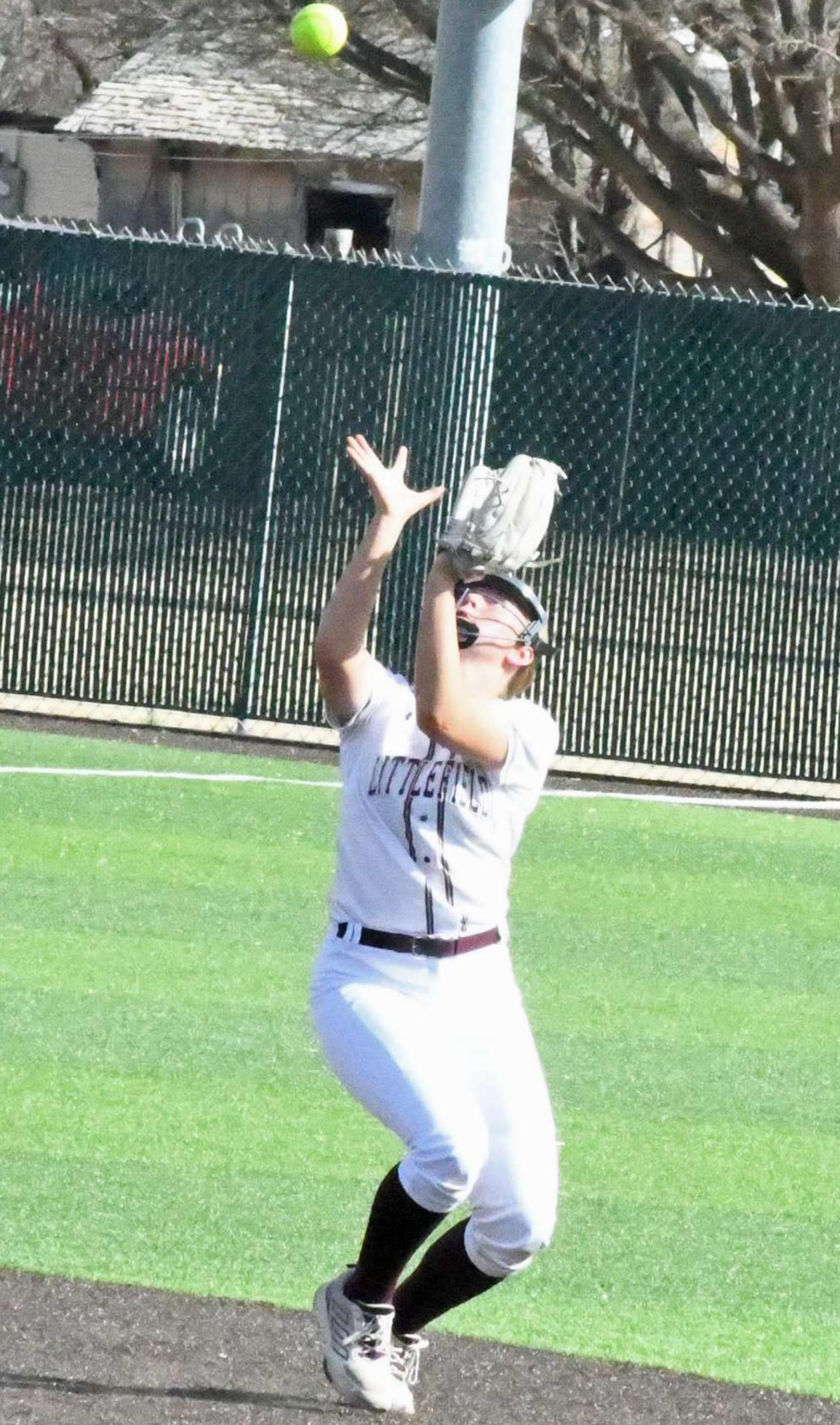 TARYN GOLDEN - Littlefield Lady Cats