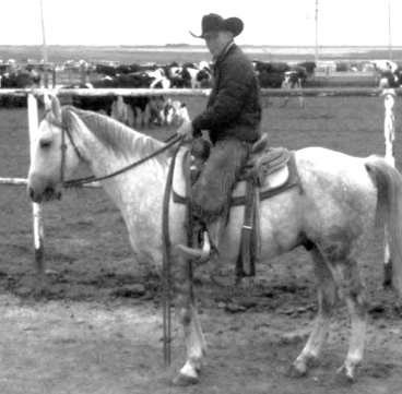 DARRELL RAY MONTGOMERY