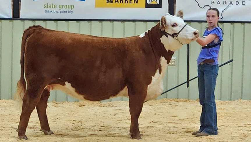 Sloane Beerwinkle of Earth won Champion Intermediate Showmanship and Champion Hereford Heifer at the Panhandle Parade of Breeds over the weekend. (Submitted Photo)