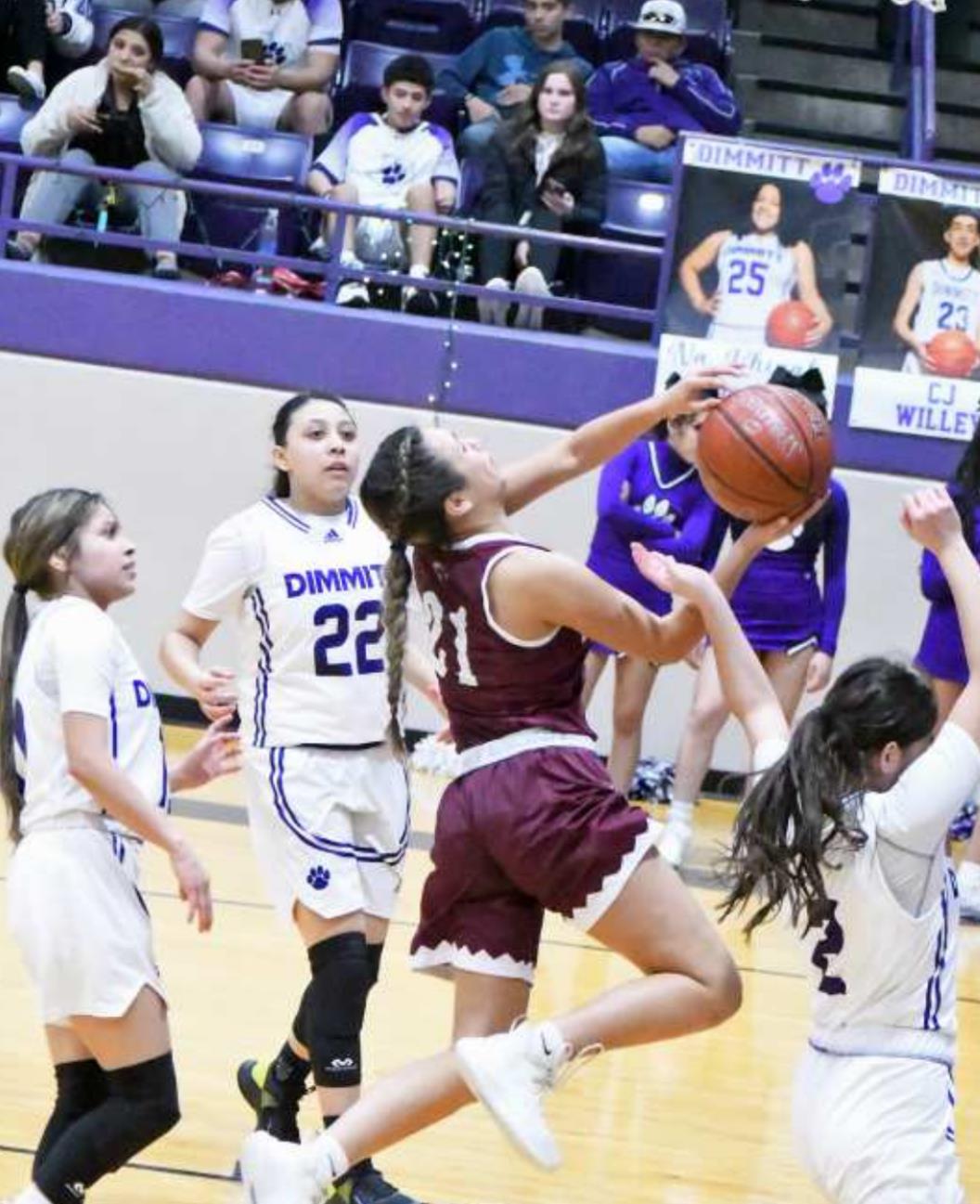 JAZMINE BARIOS - Littlefield Lady Cats