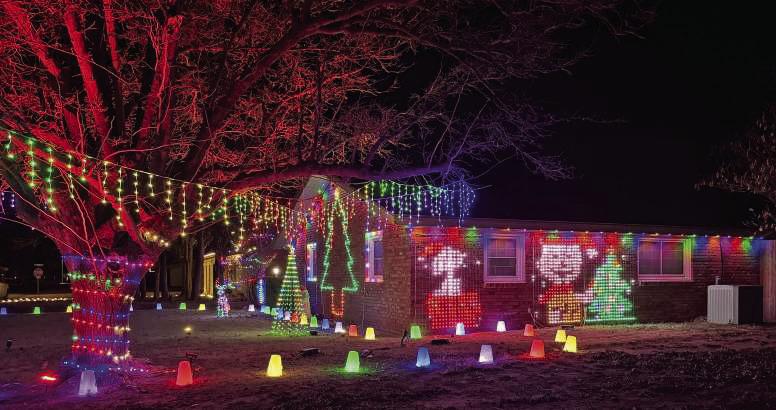 Holiday Yard Spotlight