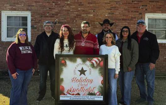 Holiday Yard Spotlight