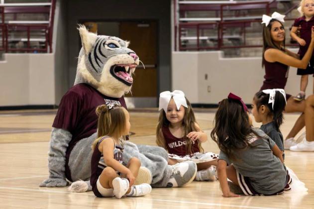 Littlefield Mini Cheer Camp - June 16-19