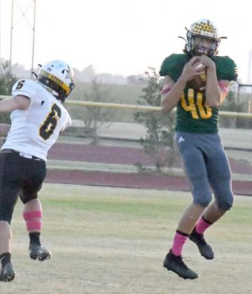 Wolverines take down Petersburg, 92-43
