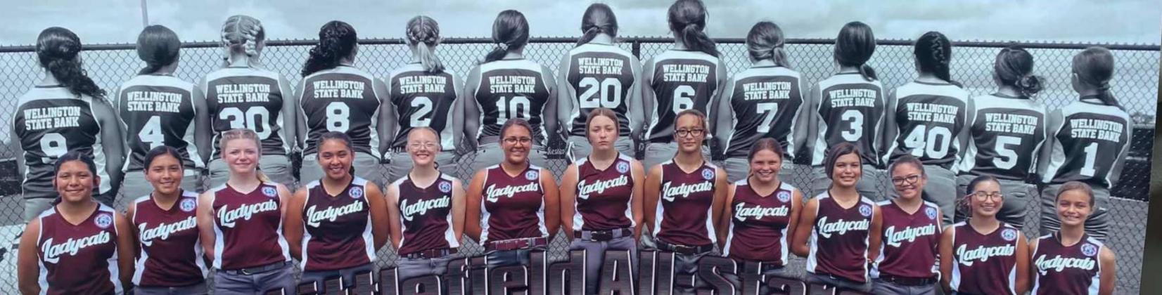 14u Lady Cats