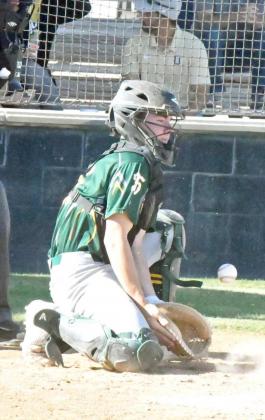 Wolverines walk it off agains t Eagles