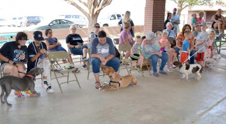 Olton Sandhills Celebration: Friday Events