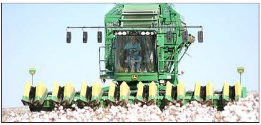 Cotton industry seeks volunteers