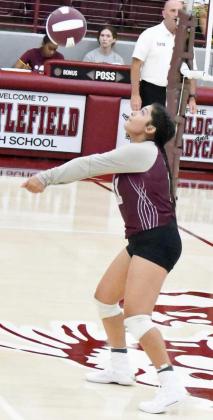 DANIELLE ZAPATA - Littlefield Lady Cats