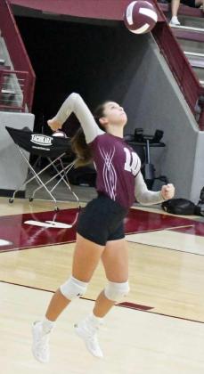 JULIE BOWNDS - Littlefield Lady Cats