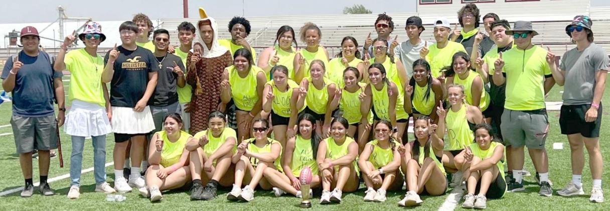 Littlefield powderpuff