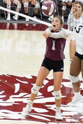 BRYNDLE RAY - Littlefield Lady Cats
