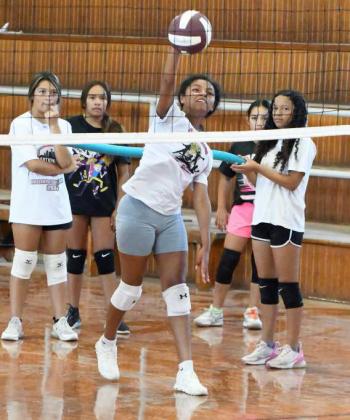 2024 Lady Cat Youth Volleyball Camp