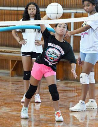 2024 Lady Cat Youth Volleyball Camp