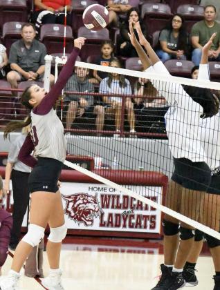 JULIE BOWNDS - Littlefield Lady Cats