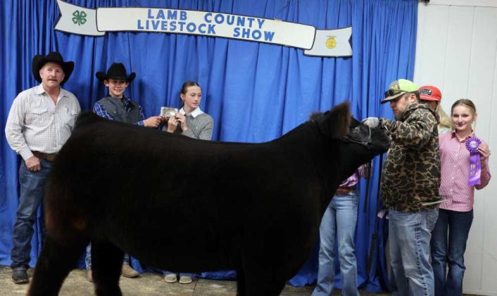 PAISLI CLAUNCH of Sudan - Reserve Grand Champion Steer