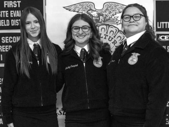Littlefield FFA Dairy Cattle team, Brooklynne Story, Avaley Campbell and Emma Rommero, receive recognition at the Littlefield FFA banquet on May 18, 2026. (Photo by Madison Vidales)