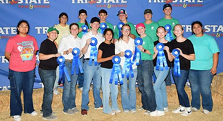 Lamb County 4-H had multiple teams compete in Food Challenge at the Tri-State Fair, as well as one group that competed in Consumer Decision Making, a group that participated in Vet Science Skillathon and a group that did Livestock Judging. (Submitted Photo)