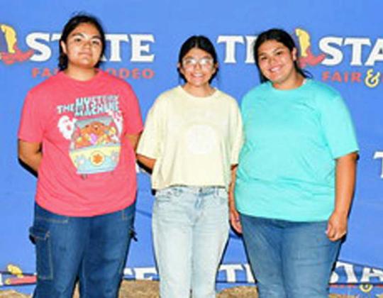 This team competed in the Healthy Dessert, Senior, category: Mareli Hildago, Yareli Castaneda and Khloe Marez. (Submitted Photo)