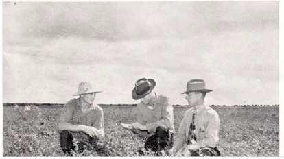 John and Henry Kveton with County Agricultural Agent D. W. Sherrill. Source: Texas Agricultural Extension Service – “The Extensioner” November 1949.