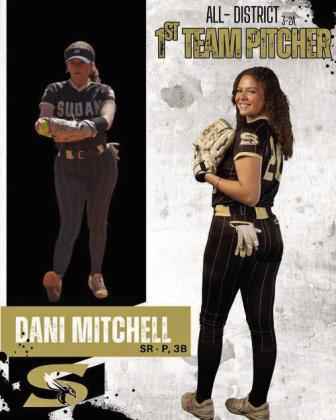 Sudan Nette softball players earn