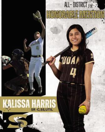 Sudan Nette softball players earn