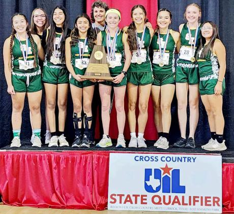 Lady Wolverine XC team is State Bound