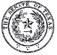 Texas Senate Review