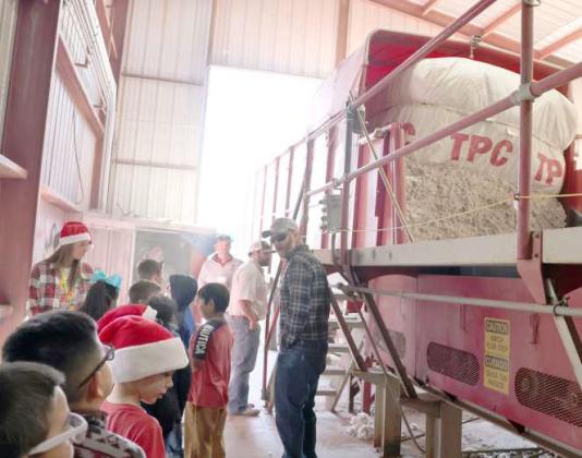 The second grade class of Sudan watches a module going onto the conveyor to the ginning machines during the tour at Texas Producers Cooperative facility. (Photo by Ann Reagan)