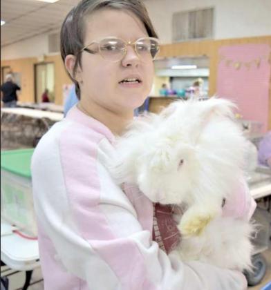 Lamb County Hosts American Rabbit Breeders Assoc. Shows