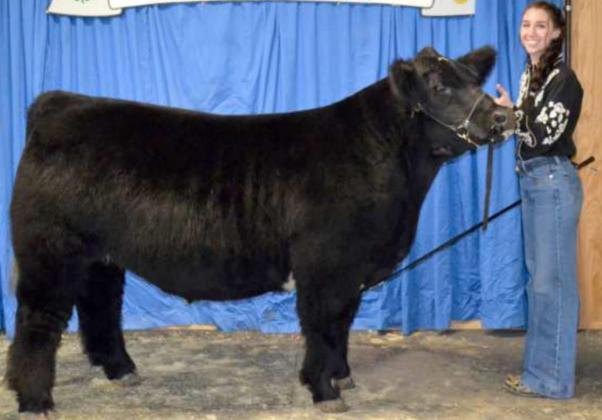 GRAND CHAMPION STEER, exhibited by Addison Boehning of Sudan. (Staff Photo by Joella Lovvorn)