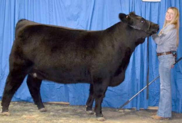 GRAND CHAMPION BEEF HEIFER, a Limousin exhibited by Katy Jones of Springlake-Earth. (Staff Photo by Joella Lovvorn)