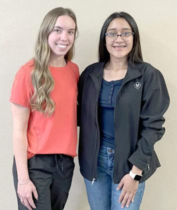 Amherst Students participate at Medical Mentorship Program