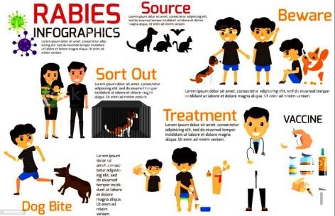 Animal Control Summer Educational series: Rabies