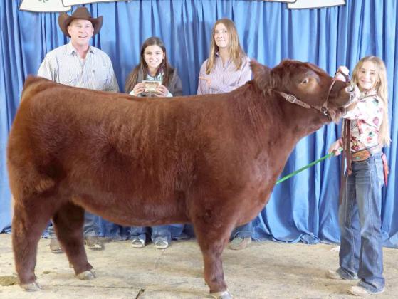 Paisli Claunch of Sudan and her Steer earned Grand Champion at the Lamb County Junior Livestock Show that took place in Littlefield on Saturday. (Photo by Ann Reagan
