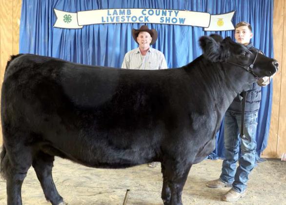 Ky Hays of Littlefield and his Heifer earned Grand Champion at the Lamb County Junior Livestock Show that took place in Littlefield on Saturday. (Photo by Ann Reagan)